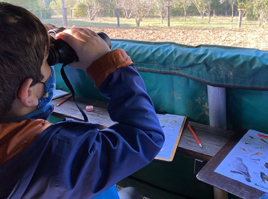 Collserola presenta les propostes educatives ‘El Curs al Parc’